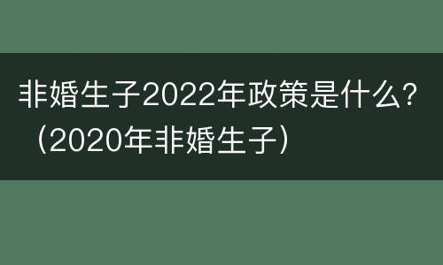 非婚生子2022年政策是什么？（2020年非婚生子）