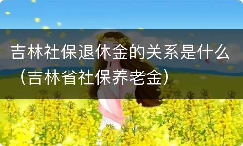 吉林社保退休金的关系是什么（吉林省社保养老金）