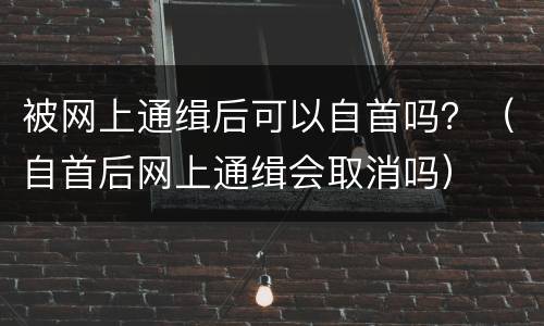 被网上通缉后可以自首吗？（自首后网上通缉会取消吗）