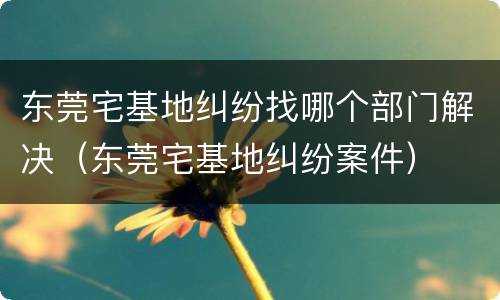 东莞宅基地纠纷找哪个部门解决（东莞宅基地纠纷案件）