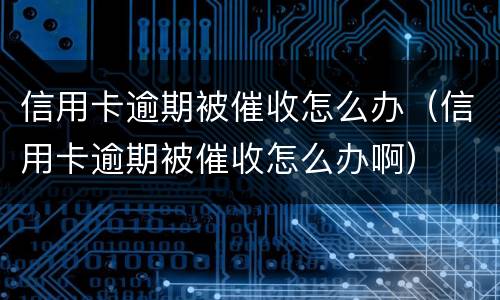信用卡逾期被催收怎么办（信用卡逾期被催收怎么办啊）