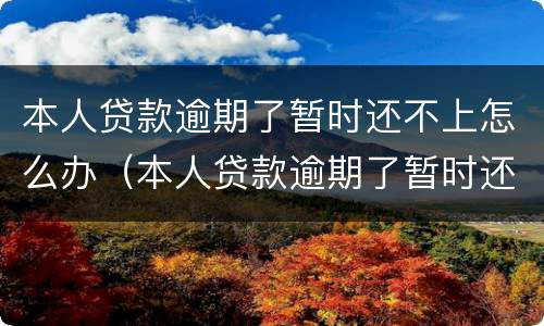 本人贷款逾期了暂时还不上怎么办（本人贷款逾期了暂时还不上怎么办呢）