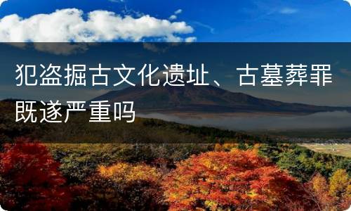 犯盗掘古文化遗址、古墓葬罪既遂严重吗