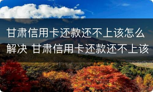 甘肃信用卡还款还不上该怎么解决 甘肃信用卡还款还不上该怎么解决呢
