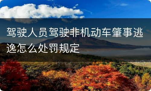 驾驶人员驾驶非机动车肇事逃逸怎么处罚规定
