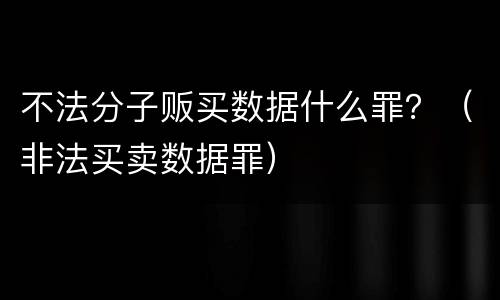 不法分子贩买数据什么罪？（非法买卖数据罪）