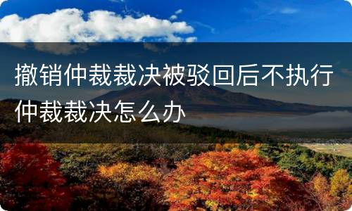 撤销仲裁裁决被驳回后不执行仲裁裁决怎么办