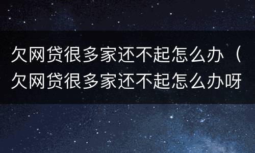 欠网贷很多家还不起怎么办（欠网贷很多家还不起怎么办呀）