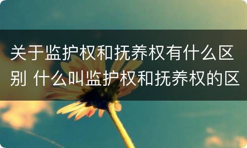 关于监护权和抚养权有什么区别 什么叫监护权和抚养权的区别