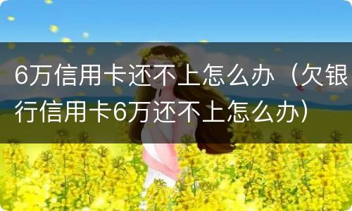 6万信用卡还不上怎么办（欠银行信用卡6万还不上怎么办）
