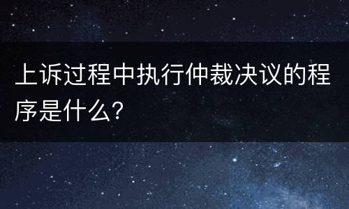 上诉过程中执行仲裁决议的程序是什么？