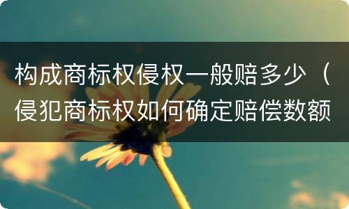 构成商标权侵权一般赔多少（侵犯商标权如何确定赔偿数额）