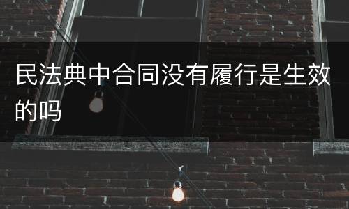 民法典中合同没有履行是生效的吗