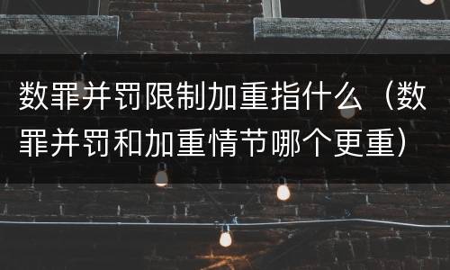 数罪并罚限制加重指什么（数罪并罚和加重情节哪个更重）