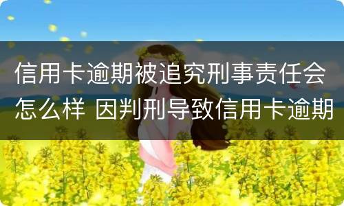 信用卡逾期被追究刑事责任会怎么样 因判刑导致信用卡逾期