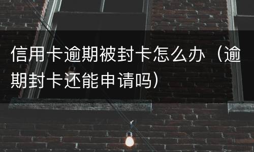 信用卡逾期被封卡怎么办（逾期封卡还能申请吗）