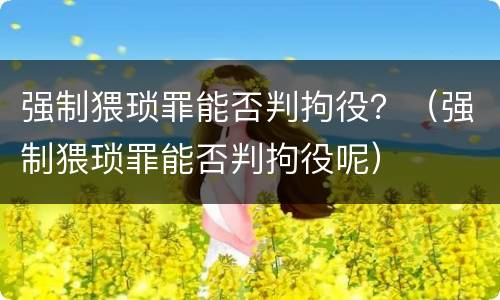 强制猥琐罪能否判拘役？（强制猥琐罪能否判拘役呢）