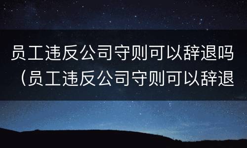 员工违反公司守则可以辞退吗（员工违反公司守则可以辞退吗怎么赔偿）