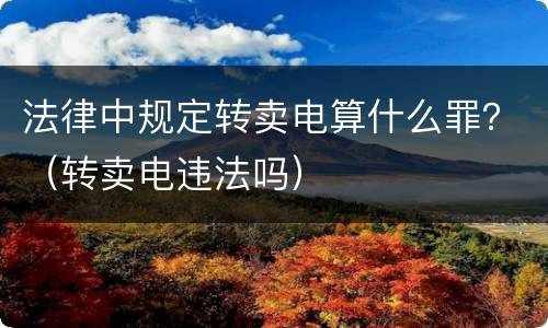 法律中规定转卖电算什么罪？（转卖电违法吗）