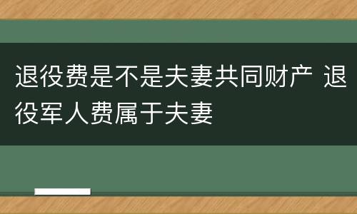 退役费是不是夫妻共同财产 退役军人费属于夫妻