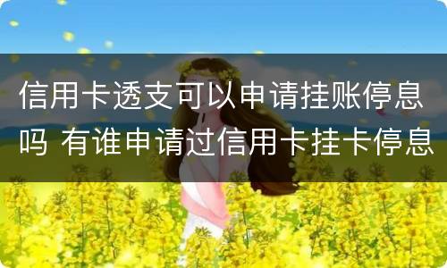 信用卡透支可以申请挂账停息吗 有谁申请过信用卡挂卡停息