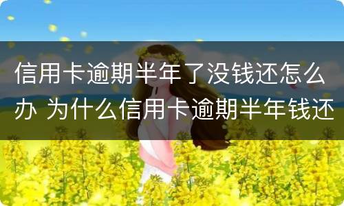 信用卡逾期半年了没钱还怎么办 为什么信用卡逾期半年钱还了怎么还能用