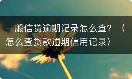 一般信贷逾期记录怎么查？（怎么查贷款逾期信用记录）