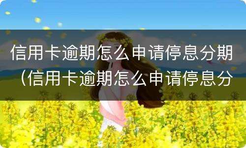 信用卡逾期怎么申请停息分期（信用卡逾期怎么申请停息分期需要多久）
