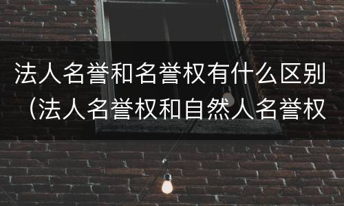 法人名誉和名誉权有什么区别（法人名誉权和自然人名誉权的区别）