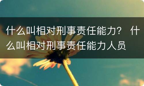 什么叫相对刑事责任能力？ 什么叫相对刑事责任能力人员
