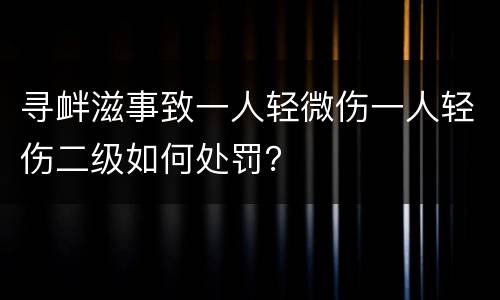 寻衅滋事致一人轻微伤一人轻伤二级如何处罚？