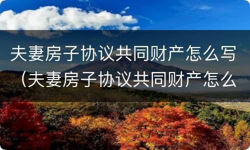 夫妻房子协议共同财产怎么写（夫妻房子协议共同财产怎么写的）