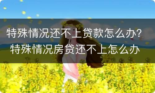 特殊情况还不上贷款怎么办？ 特殊情况房贷还不上怎么办