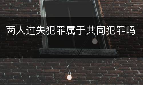 两人过失犯罪属于共同犯罪吗