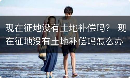 现在征地没有土地补偿吗？ 现在征地没有土地补偿吗怎么办