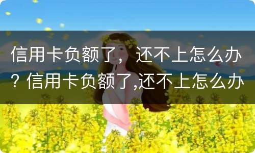 信用卡负额了，还不上怎么办? 信用卡负额了,还不上怎么办呢