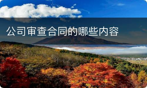 公司审查合同的哪些内容