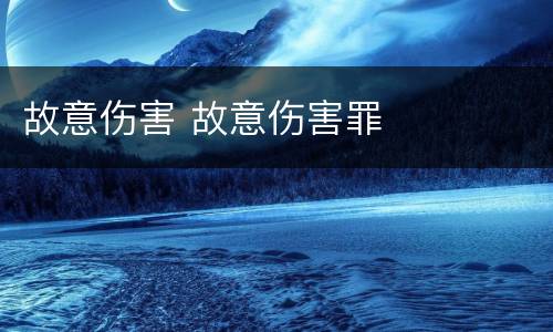 故意伤害 故意伤害罪