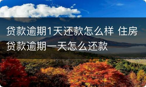 贷款逾期1天还款怎么样 住房贷款逾期一天怎么还款
