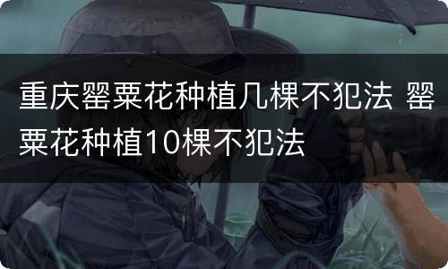 重庆罂粟花种植几棵不犯法 罂粟花种植10棵不犯法