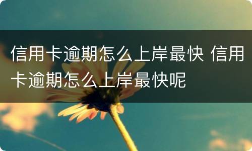 信用卡逾期怎么上岸最快 信用卡逾期怎么上岸最快呢