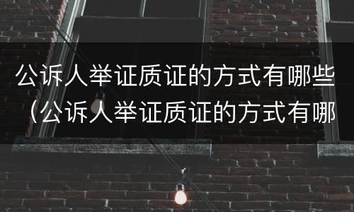 公诉人举证质证的方式有哪些（公诉人举证质证的方式有哪些规定）