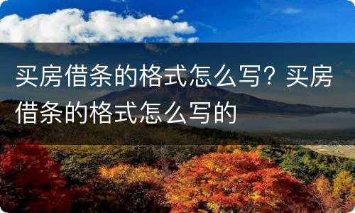 买房借条的格式怎么写? 买房借条的格式怎么写的