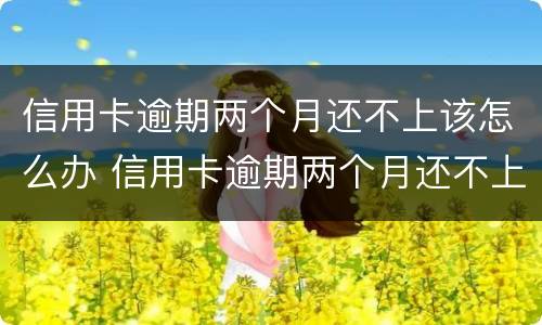 信用卡逾期两个月还不上该怎么办 信用卡逾期两个月还不上该怎么办呢