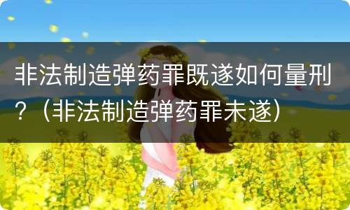 非法制造弹药罪既遂如何量刑?（非法制造弹药罪未遂）