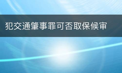 犯交通肇事罪可否取保候审