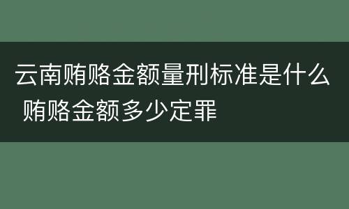 云南贿赂金额量刑标准是什么 贿赂金额多少定罪