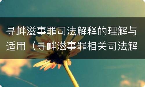 寻衅滋事罪司法解释的理解与适用（寻衅滋事罪相关司法解释）
