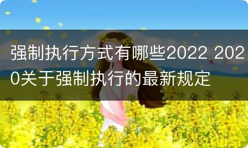 强制执行方式有哪些2022 2020关于强制执行的最新规定