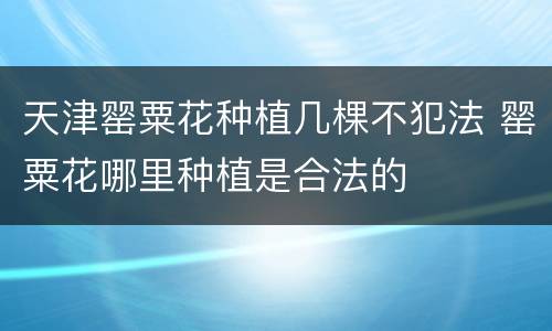 天津罂粟花种植几棵不犯法 罂粟花哪里种植是合法的